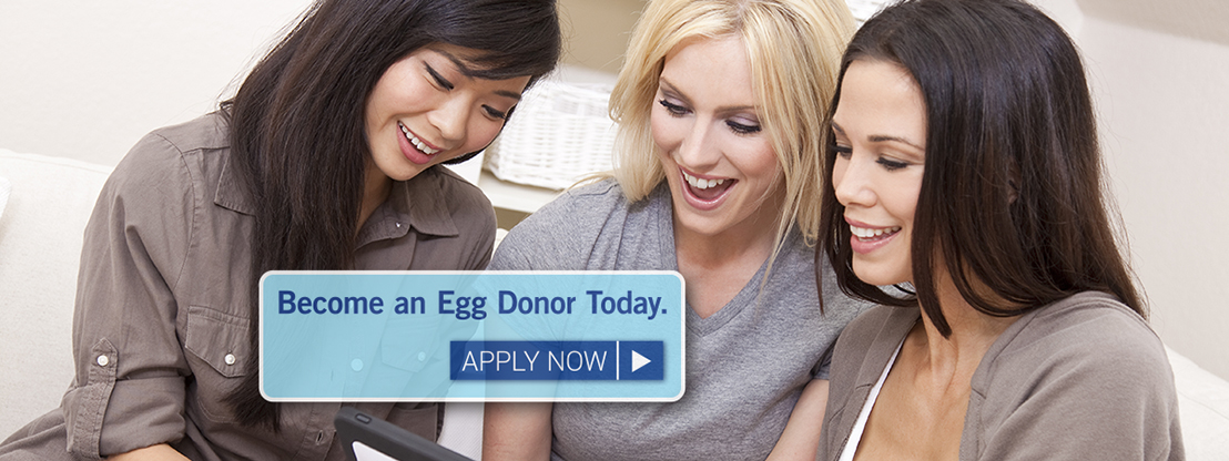 Become an Egg Donor